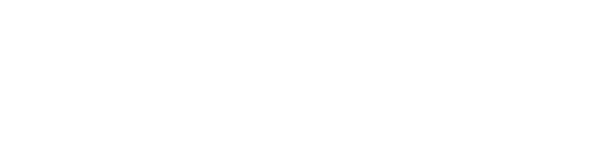 UZ - Universitair Ziekenhuis Brussel